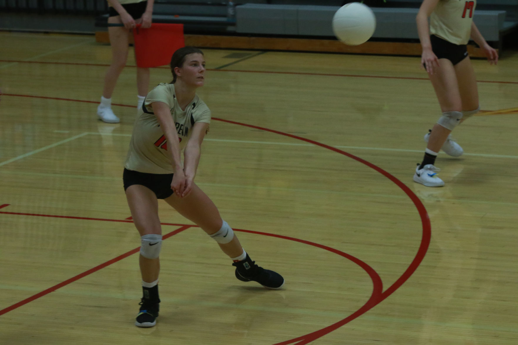 Gallery: Girls volleyball - Wheeler at Andrean